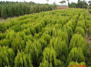 價格 廠家 Hc360慧聰網(wǎng)