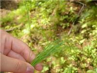 中國(guó)農(nóng)業(yè)黃頁(yè) 名錄 中國(guó)農(nóng)業(yè)公司 廠(chǎng)家 八方資源網(wǎng)農(nóng)業(yè)黃頁(yè)