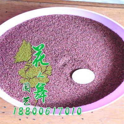 種子系列 廠家直銷 批發(fā)蛇莓種子 當(dāng)年采 量大優(yōu)惠 發(fā)芽率高 蛇莓種子價格圖片|種子系列 廠家直銷 批發(fā)蛇莓種子 當(dāng)年采 量大優(yōu)惠 發(fā)芽率高 蛇莓種子價格產(chǎn)品圖片由沭陽縣花之舞綠化苗木場公司生產(chǎn)提供-