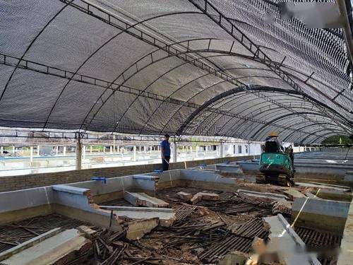 拆 這個地方的工廠化養殖已清退112家